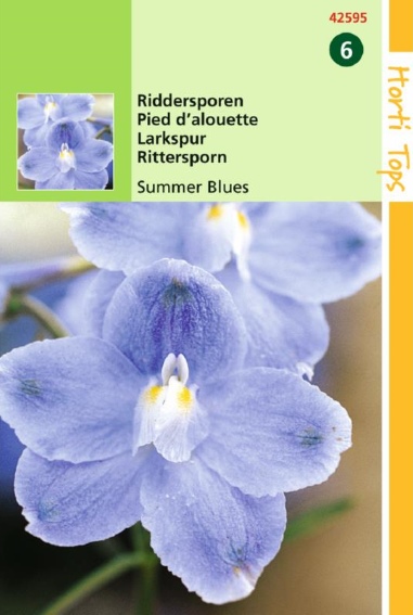 Larkspur Summer Blues (Delphinium grandiflorum) 25 seeds